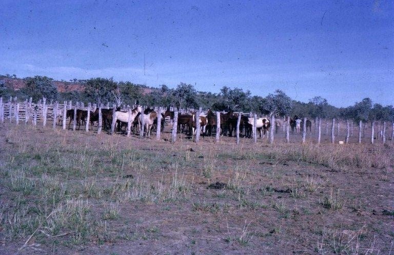 Bullo River Station