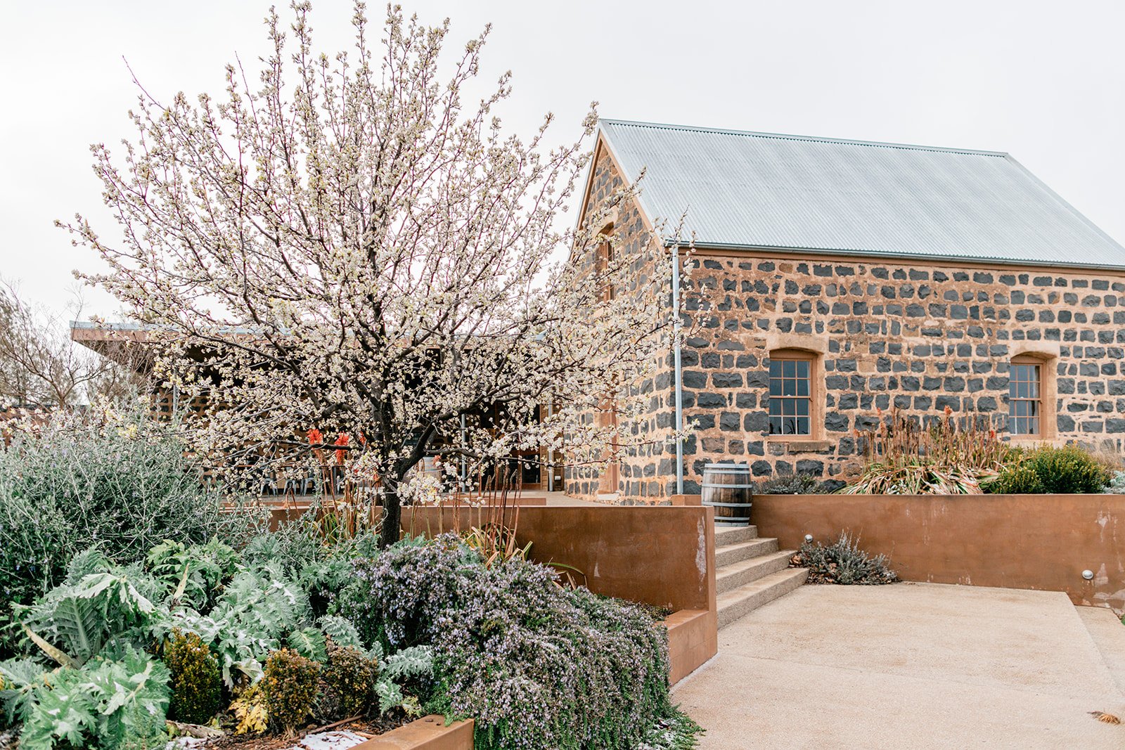 Philip Shaw Wines