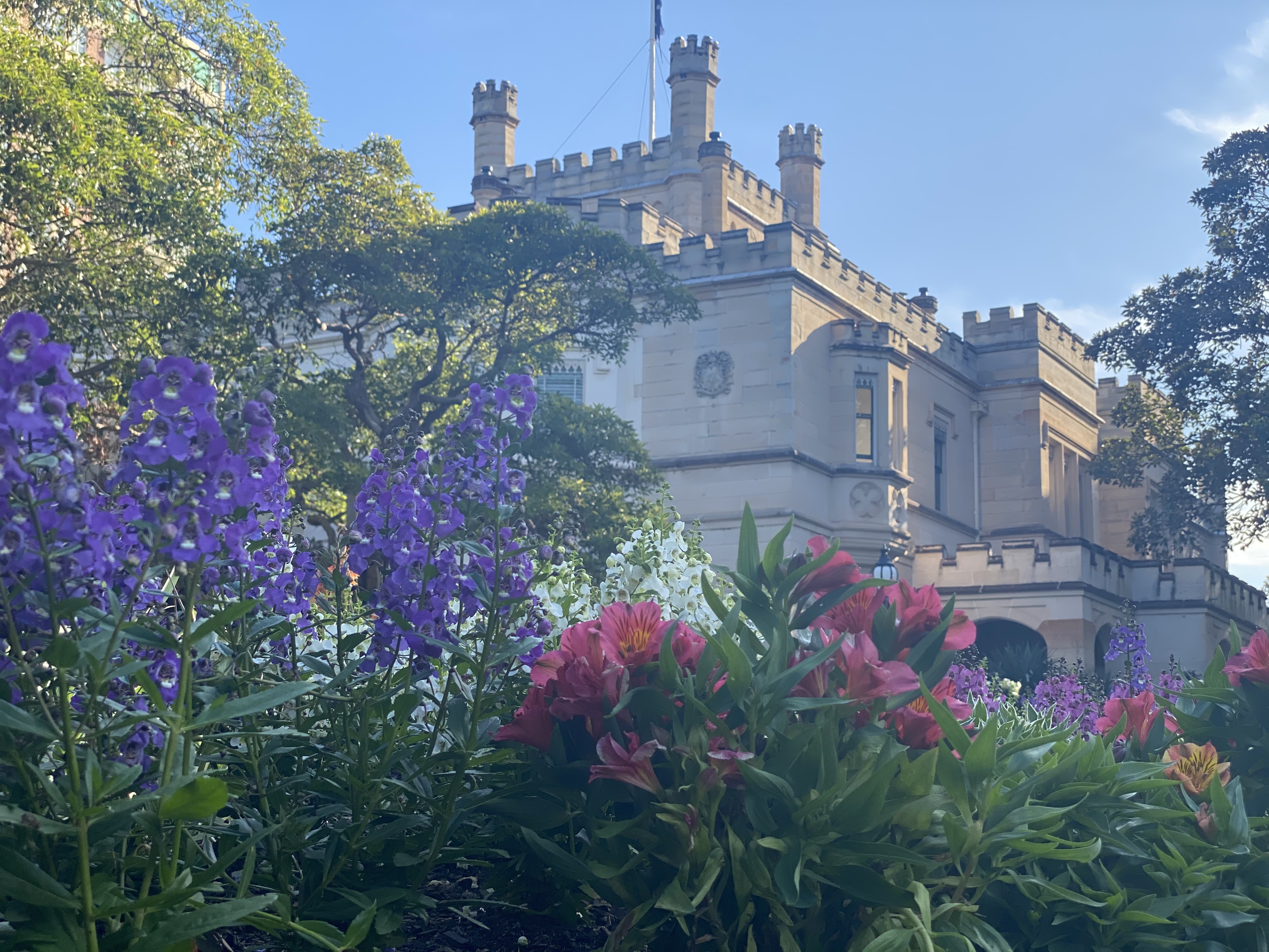 The Swifts, Darling Point — the Victorian Gothic mansion remade in 1882 by Gustavus Morrell for Sir Robert Lucas Lucas-Tooth.